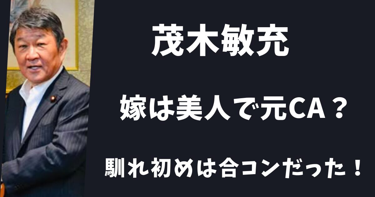 【顔画像】茂木敏充の嫁は美人で元CA？馴れ初めは合コンだった！