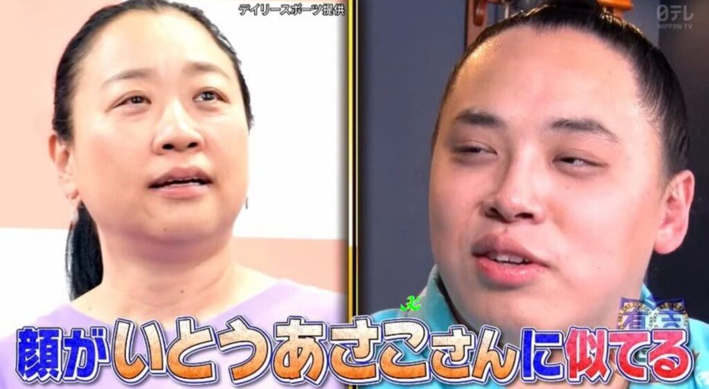 琴栄峰といとうあさこ