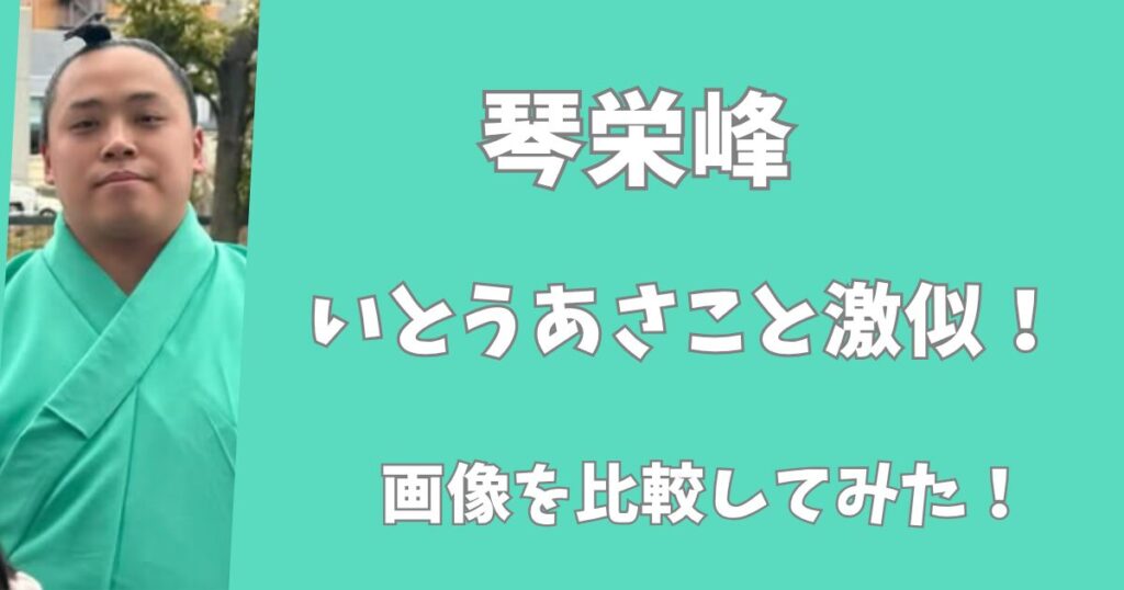 【比較画像】琴栄峰といとうあさこは似てる！激似すぎるとネットで話題！